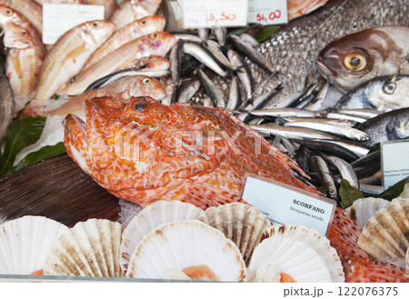 Fresh fish and clams in a market Fresh fish and clams in a market 122076375
