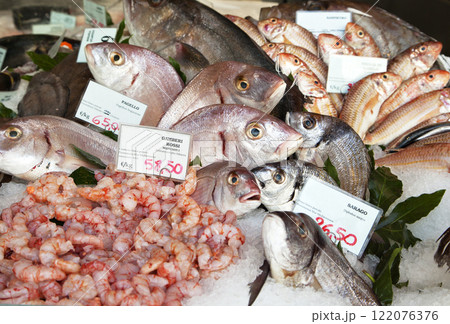 Fresh fish and clams in a market 122076376