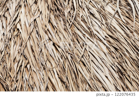 Thatched roof texture 122076435