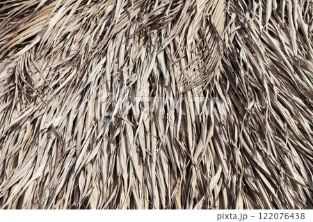 Thatched roof texture Thatched roof texture 122076438