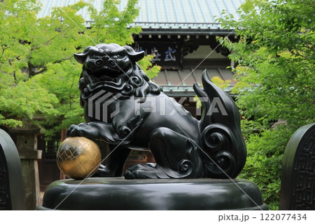 招福猫児・豪徳寺＠東京都世田谷区 122077434
