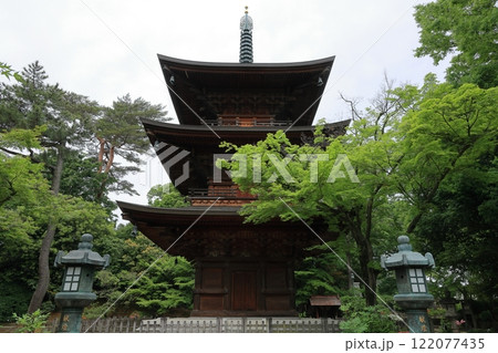 招福猫児・豪徳寺@東京都世田谷区 招福猫児・豪徳寺@東京都世田谷区 122077435
