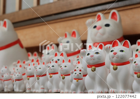 招福猫児・豪徳寺@東京都世田谷区 招福猫児・豪徳寺@東京都世田谷区 122077442