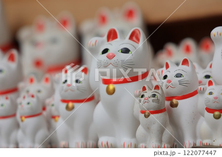 招福猫児・豪徳寺＠東京都世田谷区 122077447