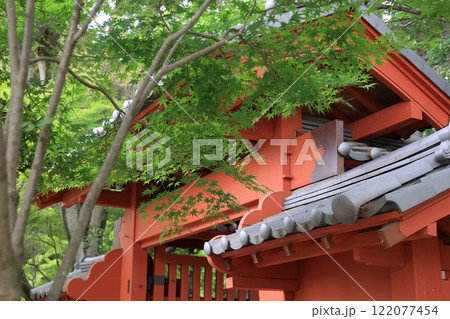 招福猫児・豪徳寺@東京都世田谷区 招福猫児・豪徳寺@東京都世田谷区 122077454