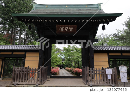 招福猫児・豪徳寺＠東京都世田谷区 122077456