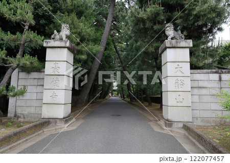 招福猫児・豪徳寺@東京都世田谷区 招福猫児・豪徳寺@東京都世田谷区 122077457