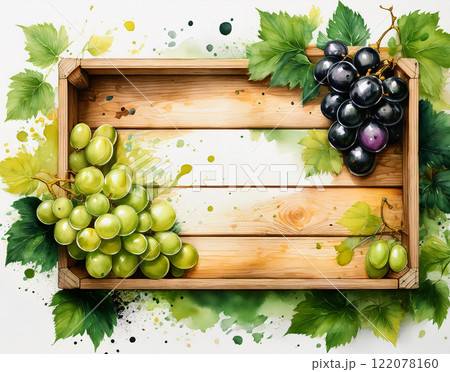 Yellow and red grape, top down view Yellow and red grape, top down view 122078160