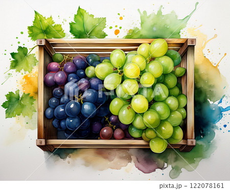 Yellow and red grape, top down view Yellow and red grape, top down view 122078161