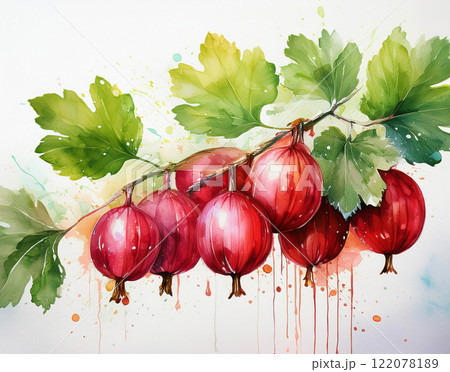 Sweet red gooseberry with green leaves 122078189