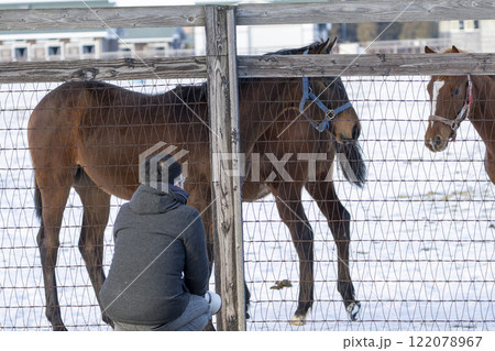 冬のサラブレッド生産牧場 馬に話しかける男性 北海道安平町 冬のサラブレッド生産牧場 馬に話しかける男性 北海道安平町 122078967