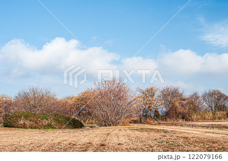 冬の淀川河川公園出口地区　大阪府枚方市 122079166