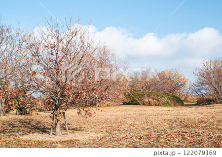 冬の淀川河川公園出口地区 大阪府枚方市 冬の淀川河川公園出口地区 大阪府枚方市 122079169