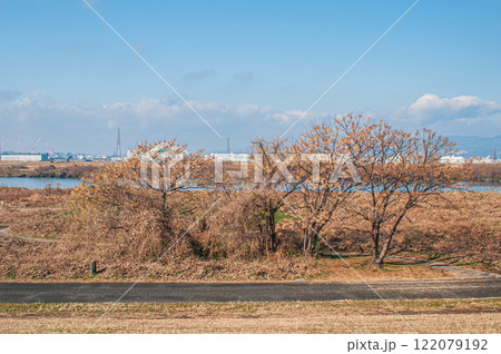 冬の淀川河川公園出口地区　大阪府枚方市 122079192