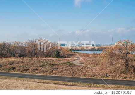 冬の淀川河川公園出口地区　大阪府枚方市 122079193