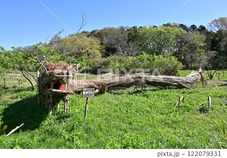 見沼田圃: 龍神マルコ 環境保全  さいたま市 見沼田圃: 龍神マルコ 環境保全  さいたま市 122079331