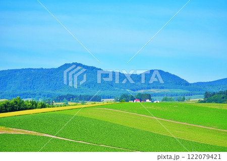 夏の北海道 美瑛町　パッチワークの丘 122079421