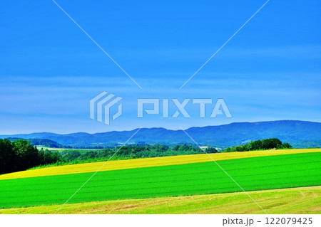 夏の北海道 美瑛町　パッチワークの丘 122079425