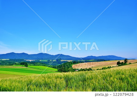 夏の北海道 美瑛町 パッチワークの丘 夏の北海道 美瑛町 パッチワークの丘 122079428