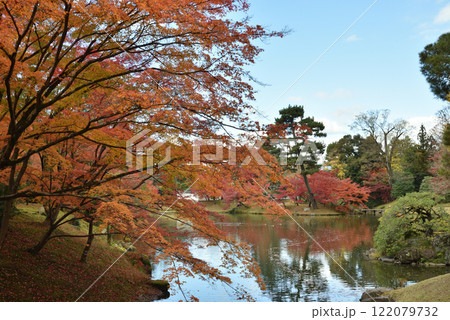 秋の京都仙洞御所 北池のモミジ(京都市上京区) 秋の京都仙洞御所 北池のモミジ(京都市上京区) 122079732
