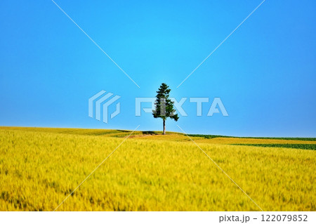 北海道 パッチワークの路から望む風景 122079852