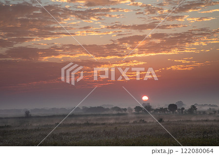 【栃木県_渡良瀬遊水地】朝霧舞う遊水地の日の出 【栃木県_渡良瀬遊水地】朝霧舞う遊水地の日の出 122080064