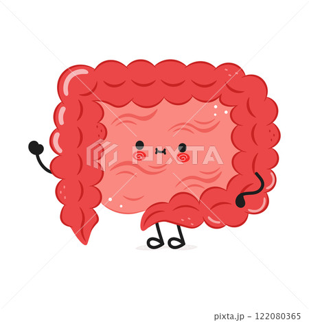 Cute cartoon Intestine character with a happy face on white background Cute cartoon Intestine character with a happy face on white background 122080365