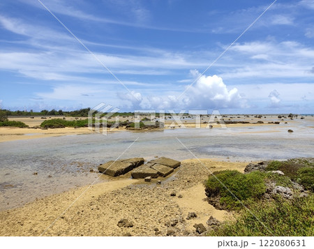 干潮で青藻のある風景 122080631