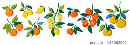 Riso print citrus. Cartoon lemon orange tangerine and grapefruit fruits, colorful botanical elements for juice packaging design. Vector isolated set 122082062