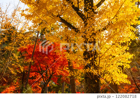 【京都風景】南禅寺 落ち着いた風情のある紅葉 【京都風景】南禅寺 落ち着いた風情のある紅葉 122082718