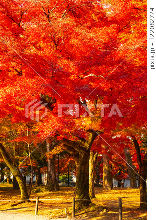 【京都風景】南禅寺 落ち着いた風情のある紅葉 【京都風景】南禅寺 落ち着いた風情のある紅葉 122082724