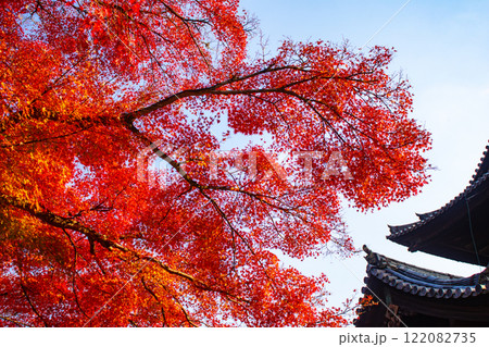 【京都風景】南禅寺 落ち着いた風情のある紅葉 【京都風景】南禅寺 落ち着いた風情のある紅葉 122082735