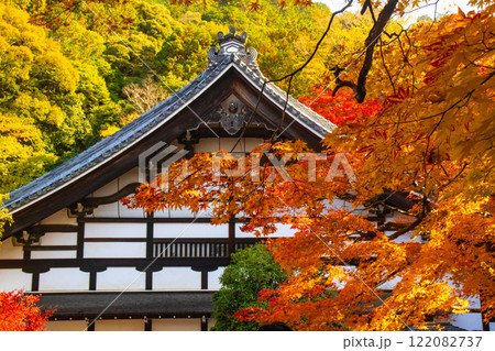 【京都風景】南禅寺　落ち着いた風情のある紅葉 122082737
