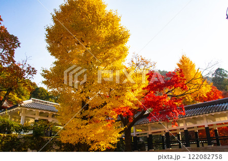 【京都風景】南禅寺 落ち着いた風情のある紅葉 【京都風景】南禅寺 落ち着いた風情のある紅葉 122082758
