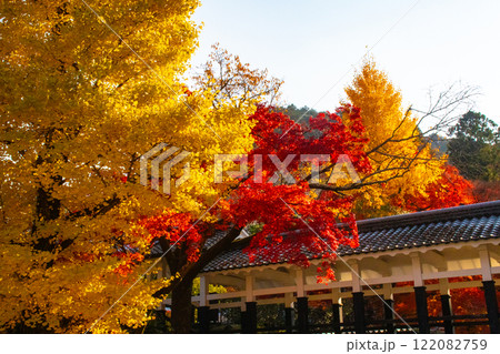 【京都風景】南禅寺 落ち着いた風情のある紅葉 【京都風景】南禅寺 落ち着いた風情のある紅葉 122082759