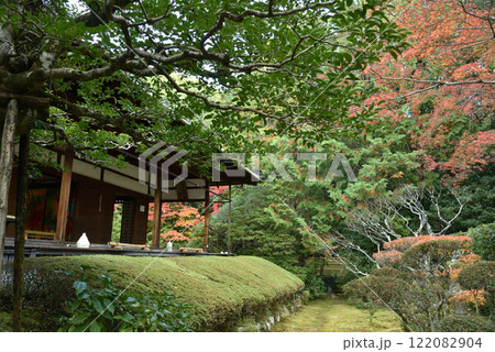 秋の桂春院　真如の庭(京都市右京区) 122082904