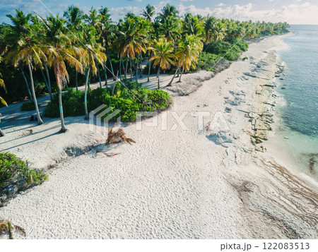 Coconut palm trees at tropical beach in Maldive island. 122083513