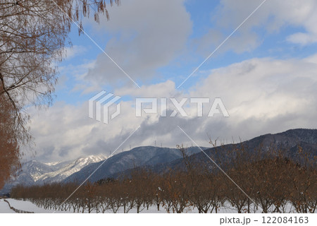 冬のメタセコイア並木（滋賀県マキノ町） 122084163