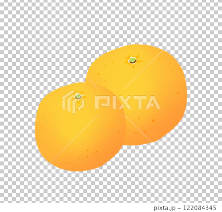 伊予觀春果 122084345