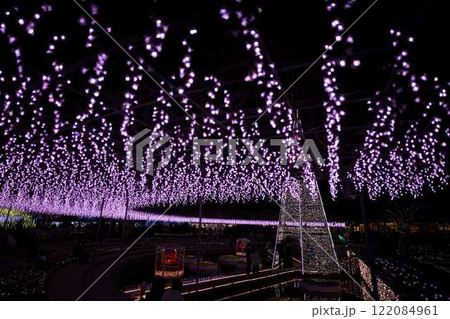 あしかがフラワーパーク　クリスマスイルミネーション 122084961