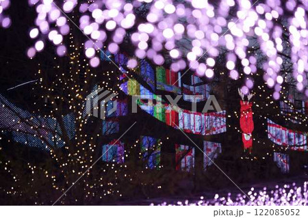 あしかがフラワーパーク クリスマスイルミネーション あしかがフラワーパーク クリスマスイルミネーション 122085052