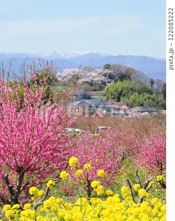 春爛漫！菜の花と花桃が彩る福島の絶景 122085222