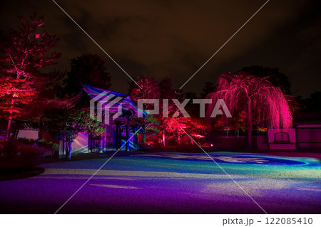 Kodaiji temple autumn illumination show at night, Kyoto 122085410