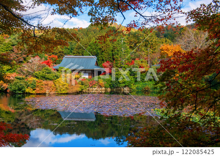 Ryoanji temple by lake with fall leaves and skyline reflection, Kyoto 122085425