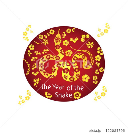 Year of the snake Year of the snake 122085796