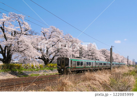 一目千本桜と電車（宮城県柴田郡大河原町） 122085999