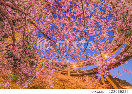 【静岡県】河津町ループ橋と河津桜 122086222