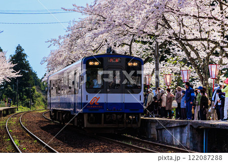 【石川県】満開の桜とのと鉄道『さくら駅』 【石川県】満開の桜とのと鉄道『さくら駅』 122087288