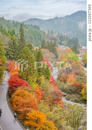 豊田市の大井平公園の展望台から見たきりのかかった紅葉の風景(愛知県) 122087369