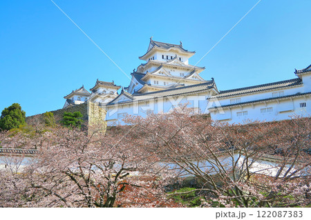 関西・姫路・姫路城・三の丸広場から眺める、桜が満開の姫路城・兵庫県姫路市(8) 122087383